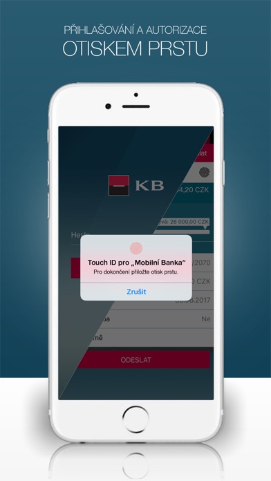 iPhone Screenshot 1
