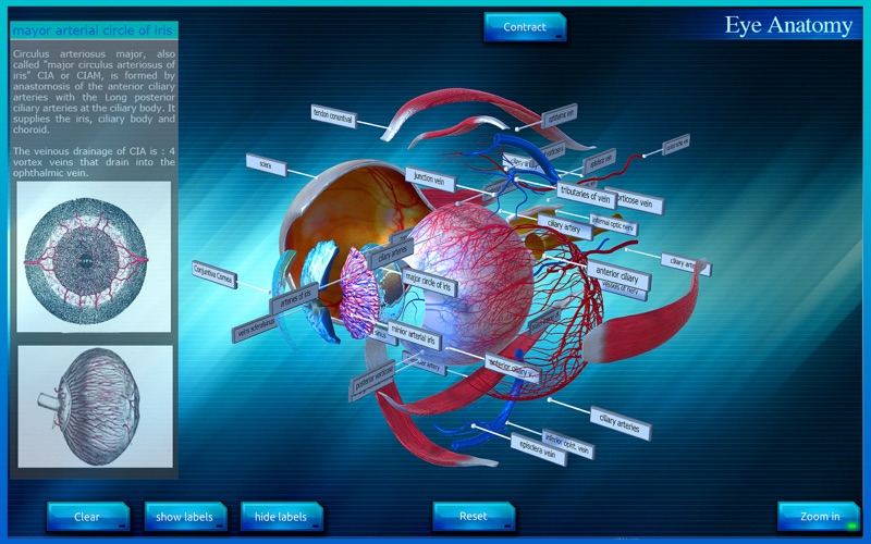 App Shopper: Eye Anatomy 3D (Medical)