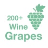 200+ Wine Grapes