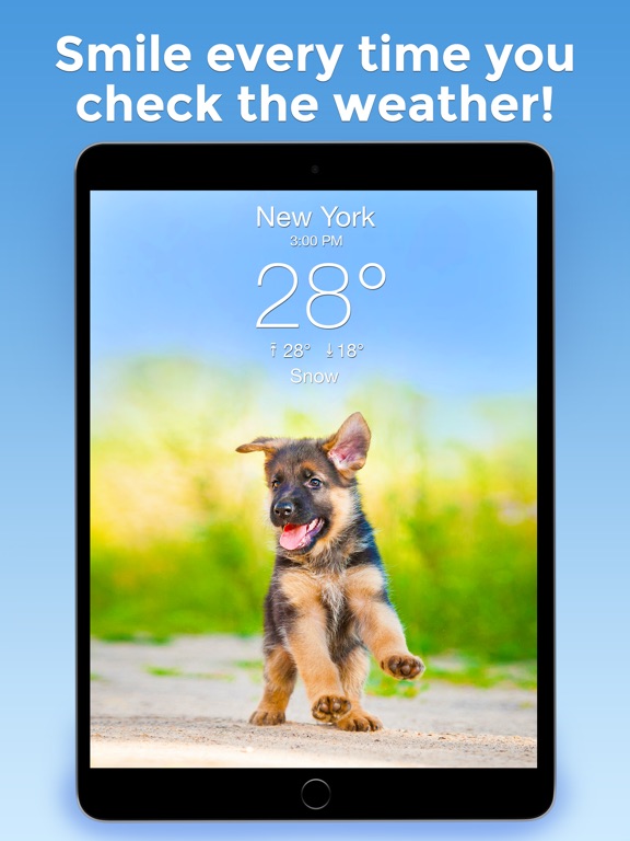 App Shopper Weather Puppy Forecast + Dogs (Weather)