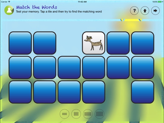 iPad Screenshot 4
