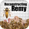 Reconstructing Remy: An Interactive Novel