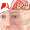 Pocket Brain-インタラクティブ神経解剖学