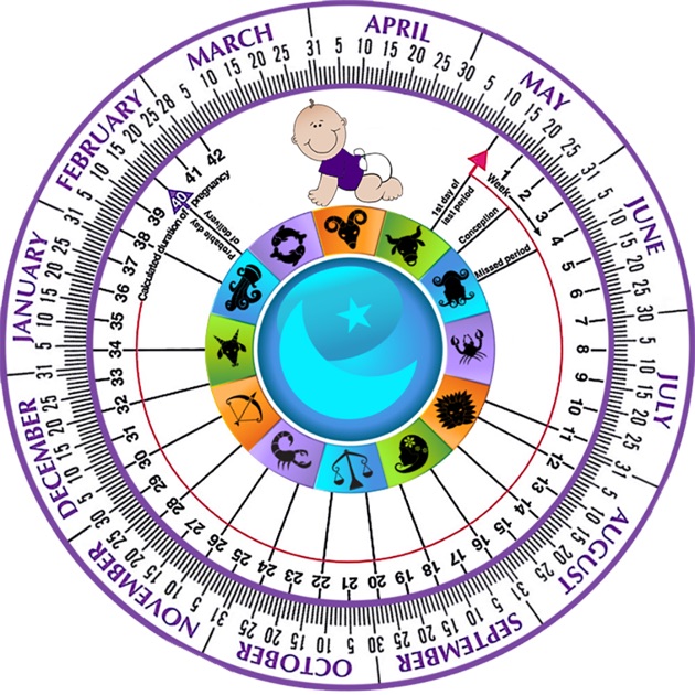 Pregnancy Wheel HD Due Date Calculator On The App Store
