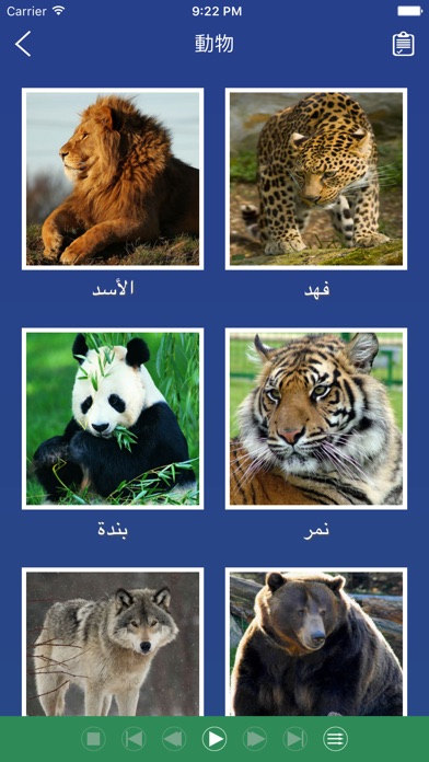 アラビア語単語のフラッシュカード screenshot1