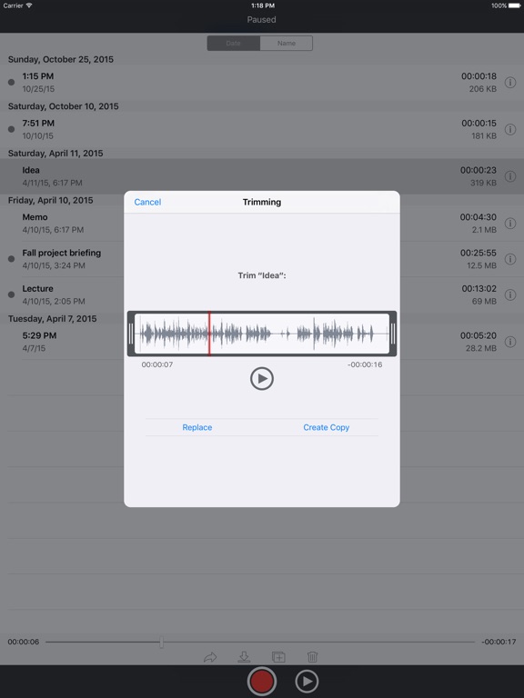 iPad Screenshot 4