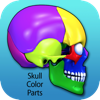 Skull Color Parts