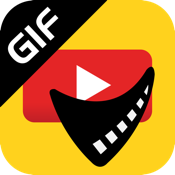 Video GIF Maker AnyMP4