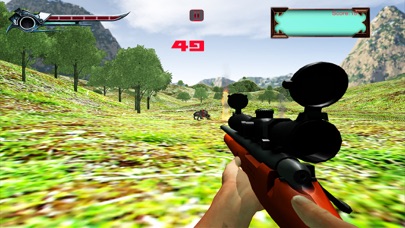 ss1