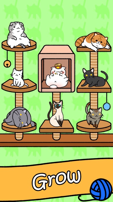 Cat Condo instal the new version for apple