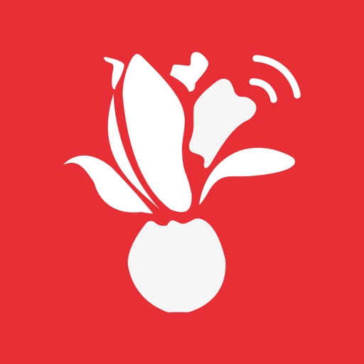 i Shanghai app icon图