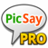 Pro Picsay Editor Photo