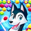 犬のおもしろ!グミドロップ