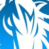 Official Dallas Mavericks
