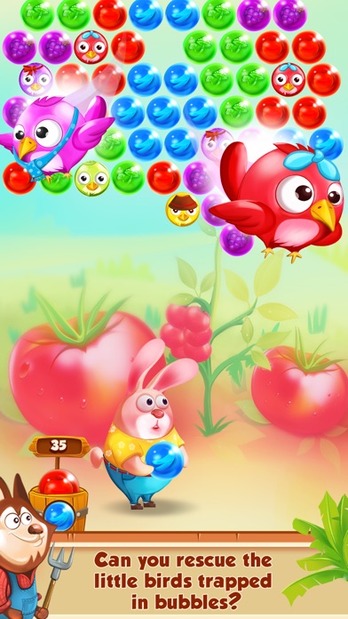 Bubble Farmer screenshot1