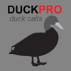 Duck Calls and Duck Sounds for Duck Hunting + BLUETOOTH COMPATIBLE diving duck 