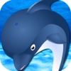 Baby Dolphin Summer Show in Holiday Theme Parks theme parks 