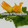 Benefits Of Vegetarianism and Total Health vinegar health benefits 