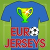 Football Euro 2016 Jersey Quiz - Guess Men Player Shirts And Badge For Soccer Sport Teams soccer shorts men 