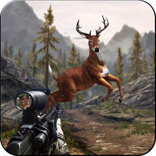 Hunting Animals 3D download