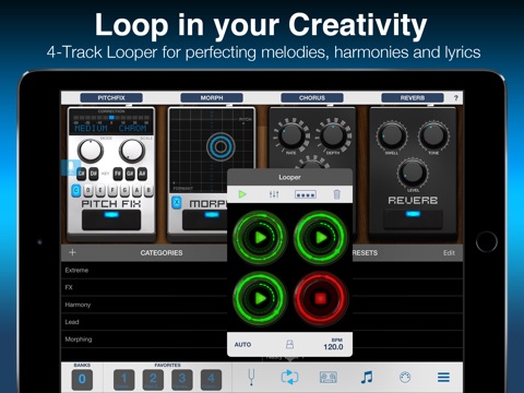 iPad Screenshot 3