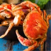Crab Recipes - Learn How to Cook Crab horseshoe crab 
