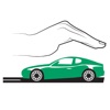 Stolen Cars | السيارات المسروقة