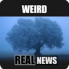 Weird Real News weird news 