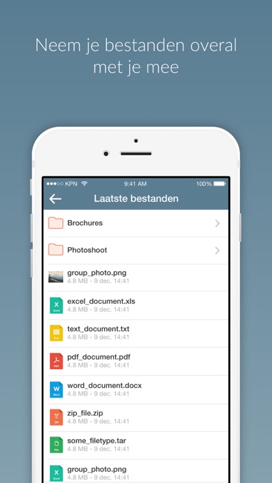 iPhone schermafbeelding 4