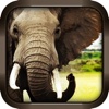 Wild Elephant Simulator 3D Crazy Attack Game Free amazing crush fight