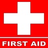 First Aid Tutorial Guide-Home Reference with Tips printable first aid guide 