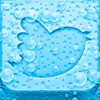 no app image