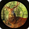 Safari Animal hunting 2016 – deer, bear and fox shooting game to increase the shooting level. hunting shooting accidents 