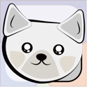 English Grammar Test: Language Quiz icon