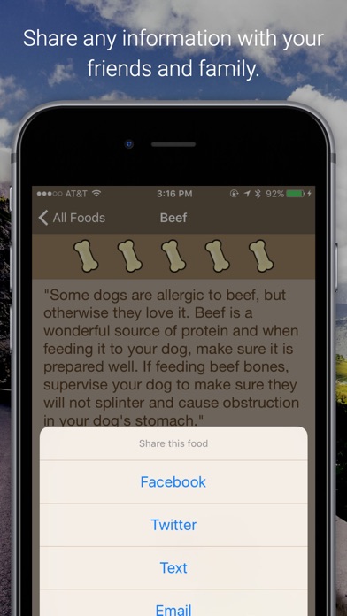 iPhone Screenshot 5