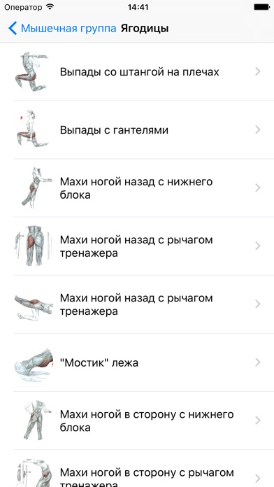 Снимок экрана iPhone 5