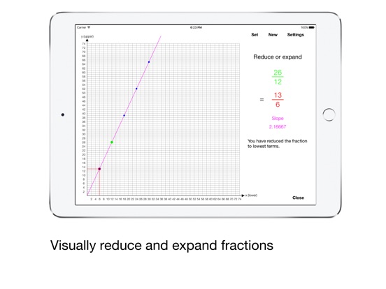 iPad Screenshot 4