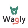 Wagly donate car to charity 