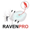 Raven Hunting Strategy Hunting Simulator for Bird Hunting - Ad Free tajikistan hunting 