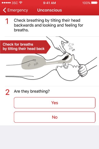 First Aid by Irish Red Cross screenshot