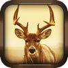 3D Deer Simulator - Crazy Wild Attack Sim 2016 amazing crush fight