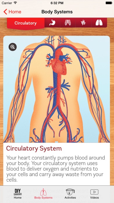 DIY Human Body on the App Store