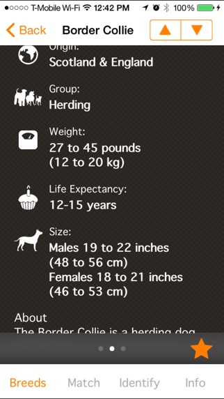 iPhone Screenshot 3