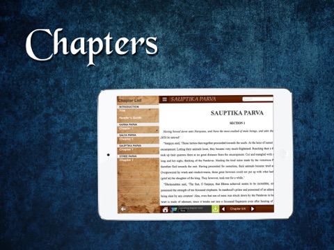 iPad Screenshot 4
