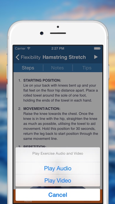 iPhone Screenshot 3