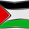 الكرة الفلسطينية