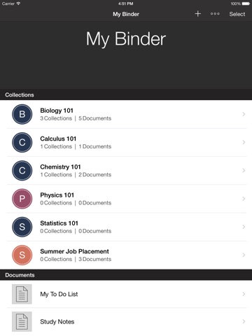 iPad Screenshot 1