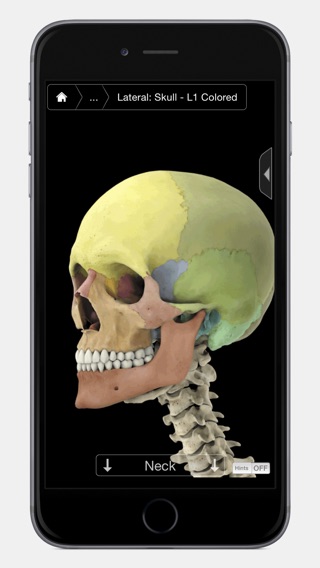 iPhone Screenshot 3