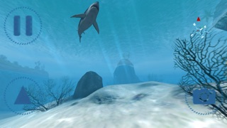 Sharks VR screenshot1