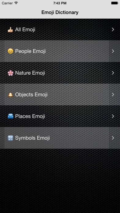 iPhone Screenshot 5